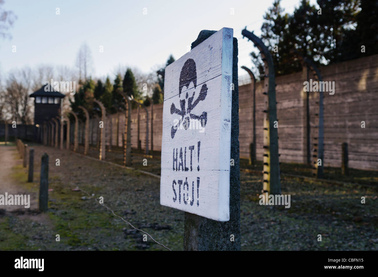 Recinto elettrico ad Auschwitz campo di concentramento nazista Foto Stock