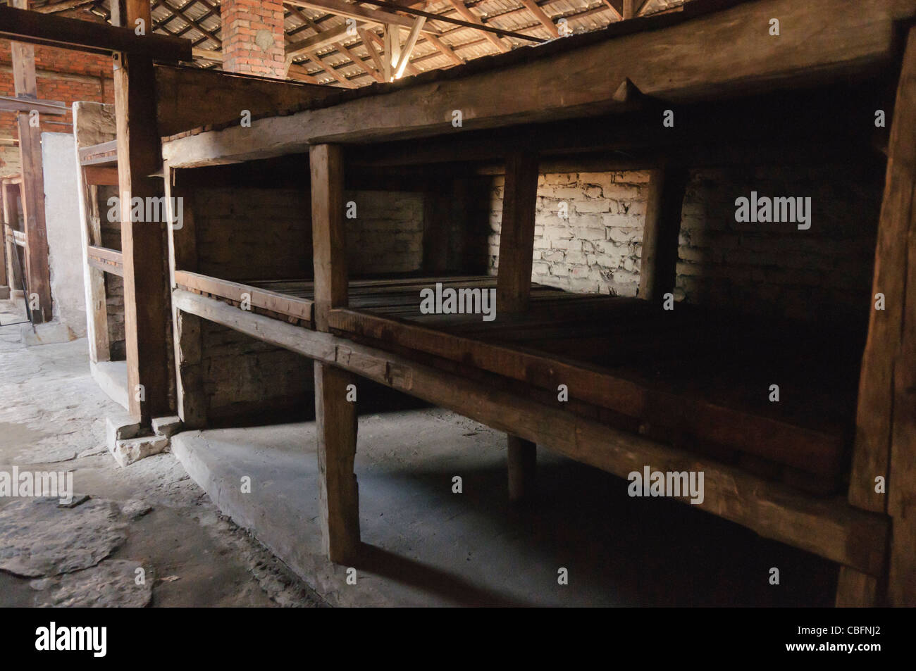 Cuccette in legno nella caserma di mattoni per le donne e i bambini ad Auschwitz II Berkenau WW2 campo di concentramento nazista Foto Stock