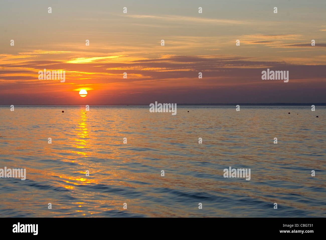 Tramonto, cappone Marsh, Il Solent, cappone, Isle of Wight, England, Regno Unito Foto Stock