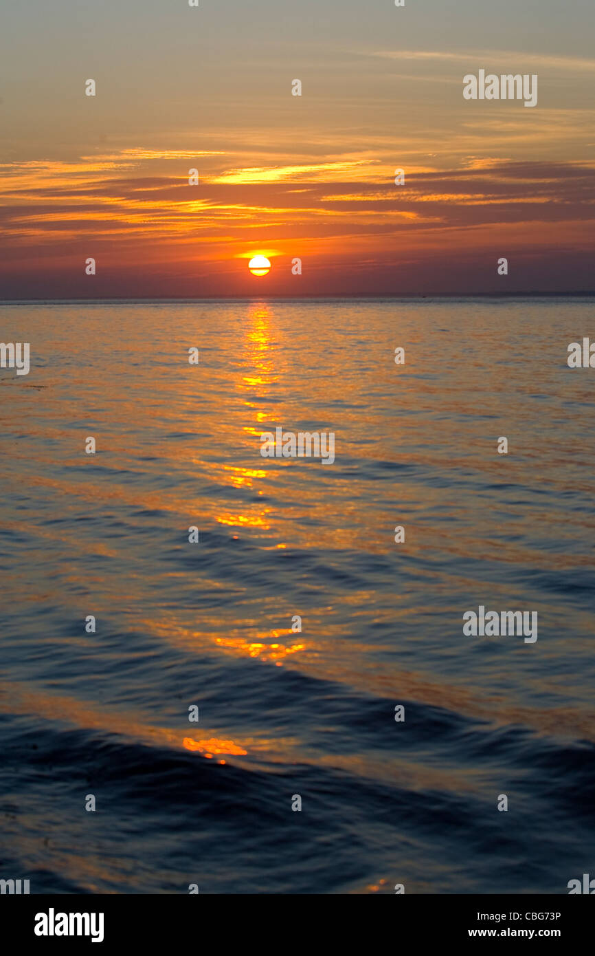 Tramonto, cappone Marsh, Il Solent, cappone, Isle of Wight, England, Regno Unito Foto Stock