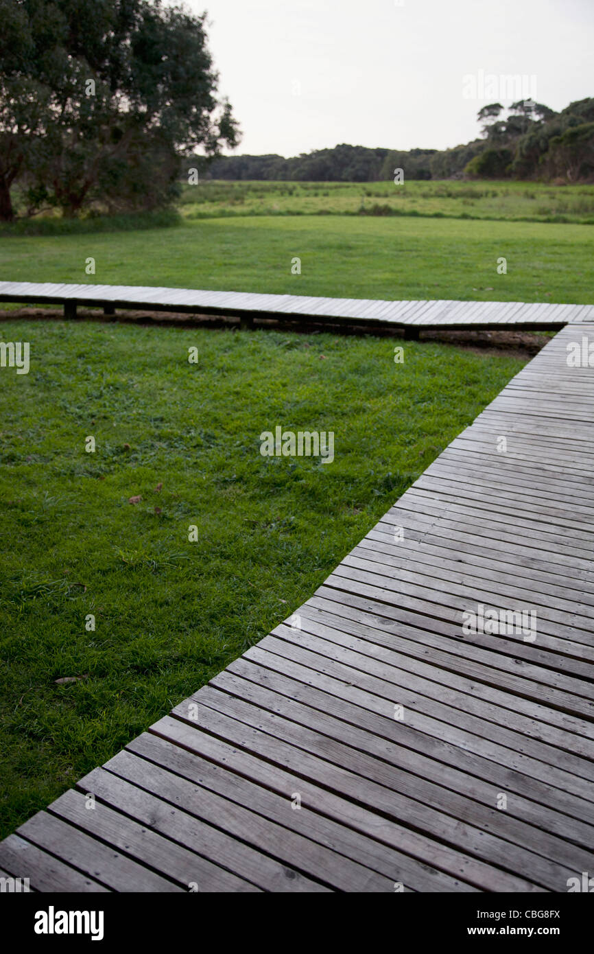 Una passerella di legno su erba in una posizione remota Foto Stock
