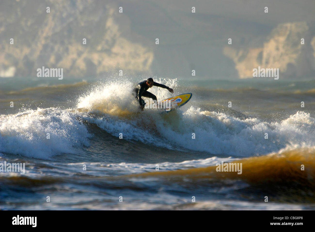 Surfer, surf, Compton Bay, Isle of Wight, England, Regno Unito Foto Stock