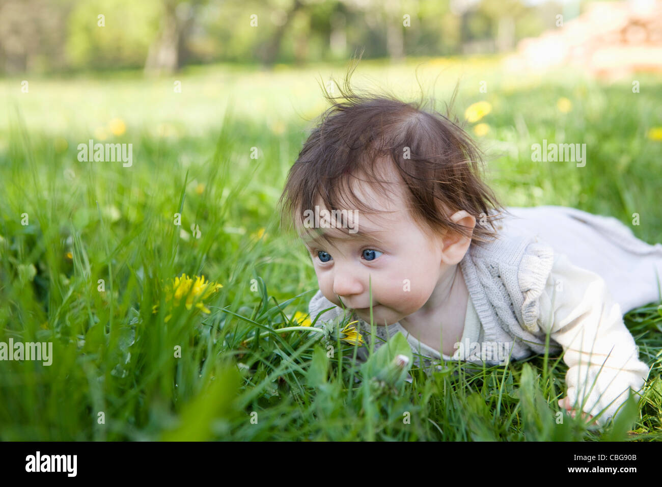 Una bambina strisciando in erba Foto Stock