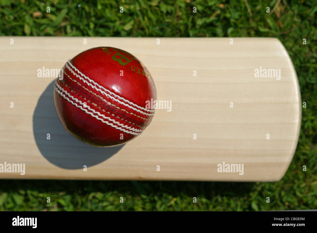 Set Cricket Per Bambini - Mazza E Palla In Schiuma Morbida, Sicuro E Divertente - Foto 10