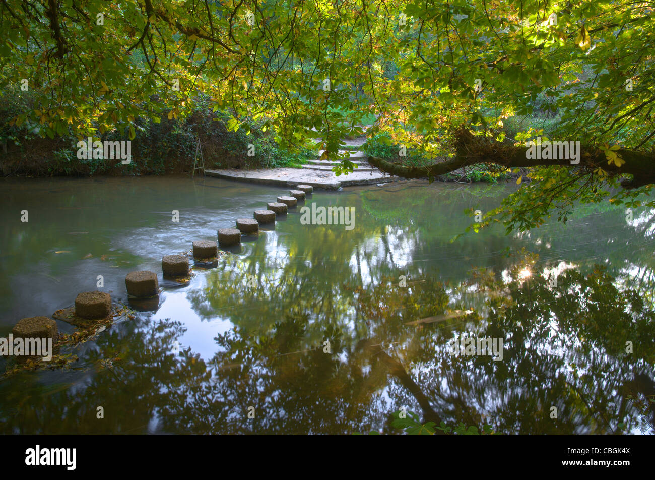 Le pietre miliari di attraversare il Fiume Mole sotto il Box Hill tra Dorking e Leatherhead in Surrey. Foto Stock
