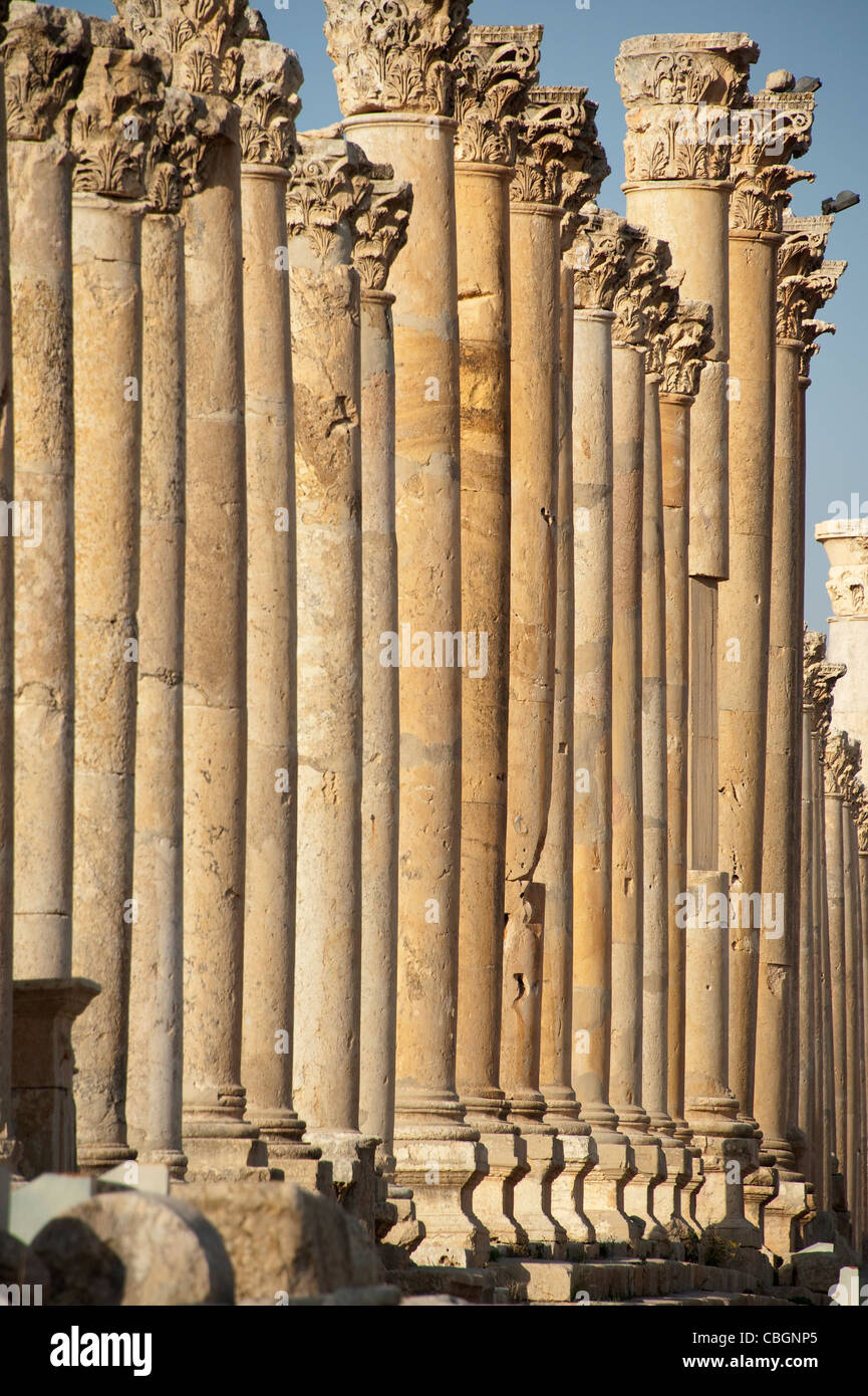 Colonne in antica Jerash, Giordania Foto Stock