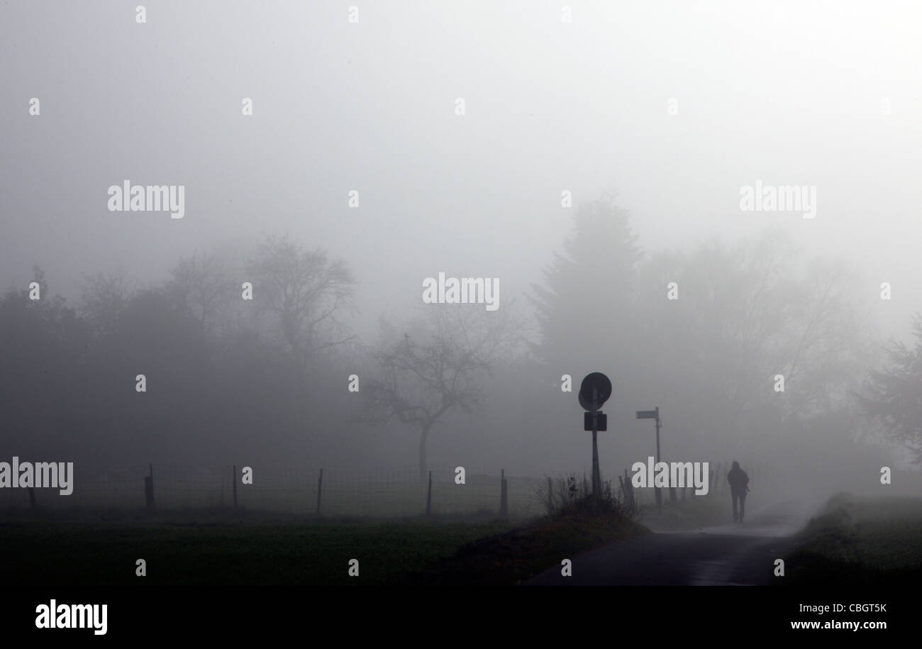 Autunno, nebbia, campagna, persona che cammina su un percorso in una fitta nebbia. Essen, Germania. Foto Stock