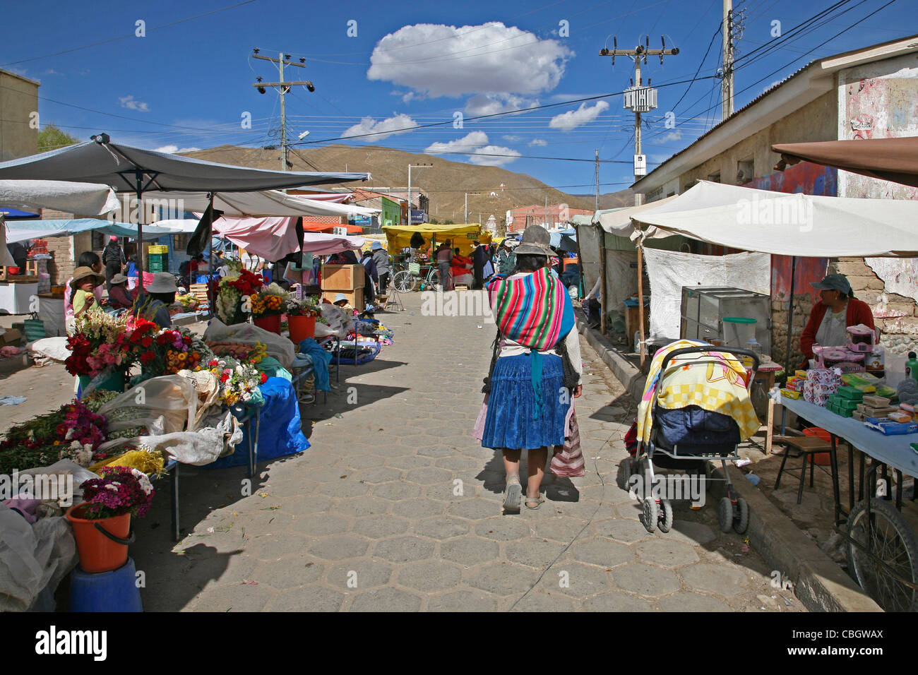 Bancarelle che vendono fiori sul mercato in Challapata, Altiplano in Bolivia Foto Stock