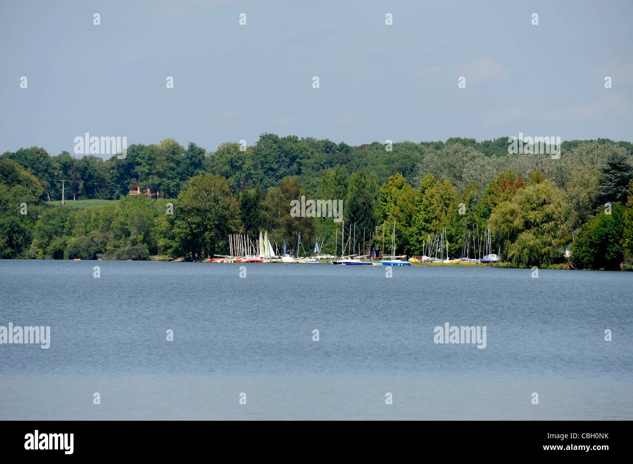 Etang de Baye pond,Morvan parco nazionale,Nievre,Borgogna,Francia Foto Stock