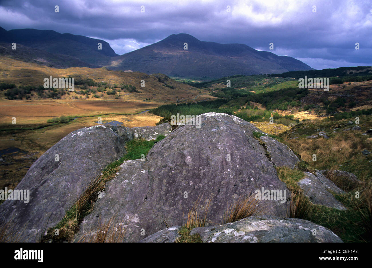 Guardando verso le montagne delle Reek di MacGillycudy nella Valle Nera, Contea di Kerry, Repubblica d'Irlanda. Foto Stock