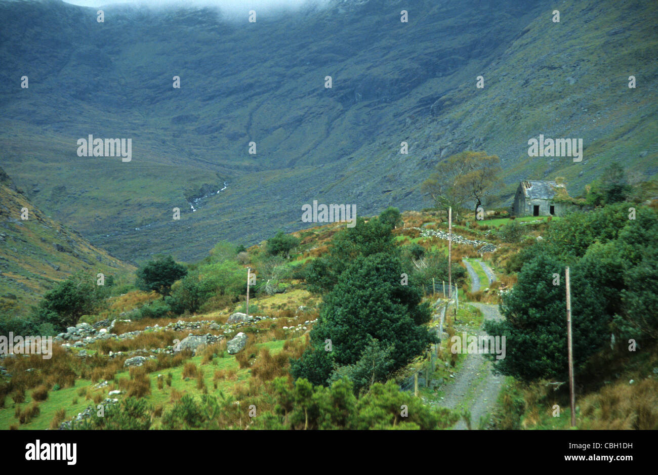 Un cottage abbandonato si trova sotto le montagne di MacGillycudy's Reeks nella Valle Nera, Contea di Kerry, Repubblica d'Irlanda. Foto Stock