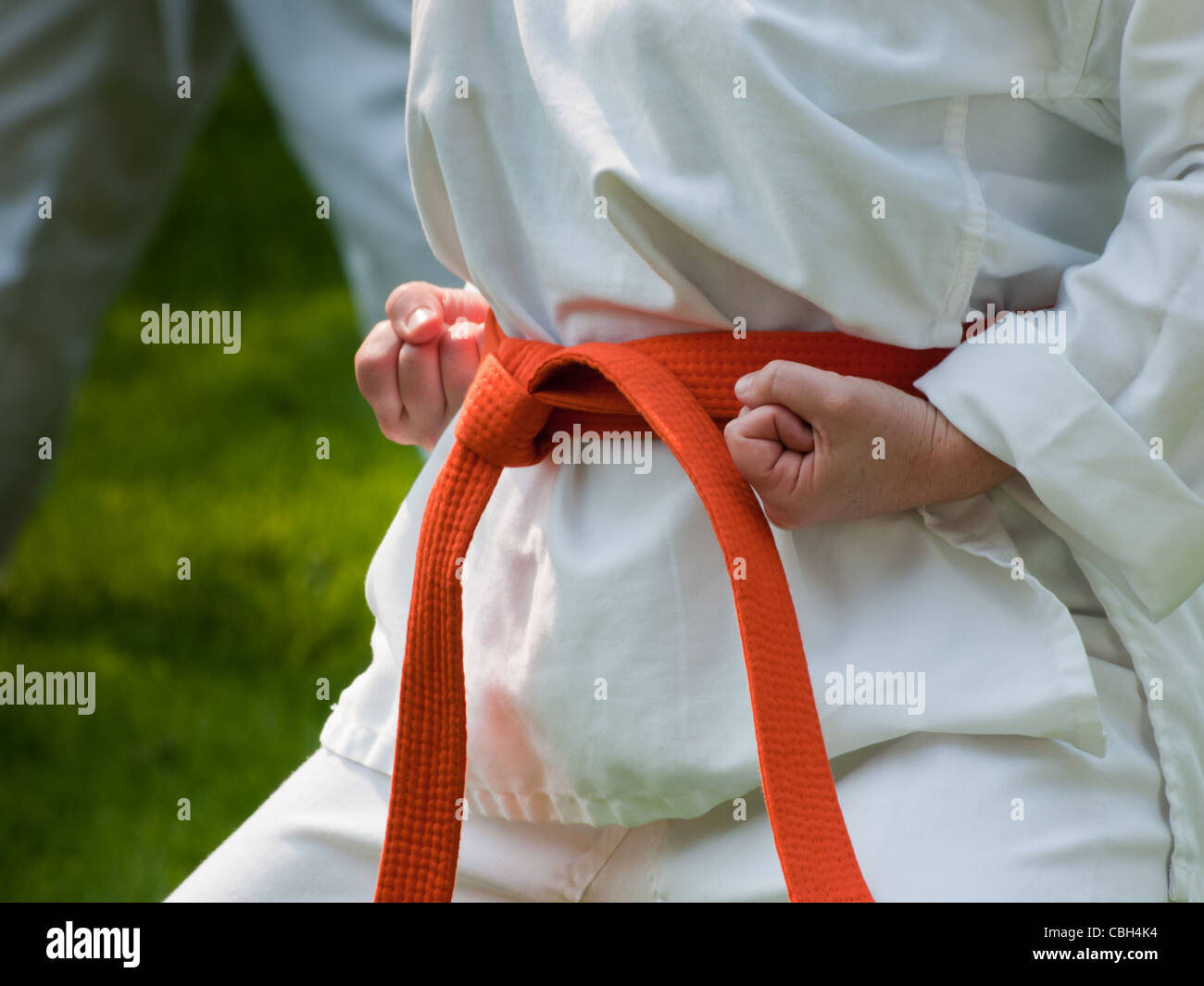 TaeKwonDo scuola pratica sul prato del parco. Foto Stock