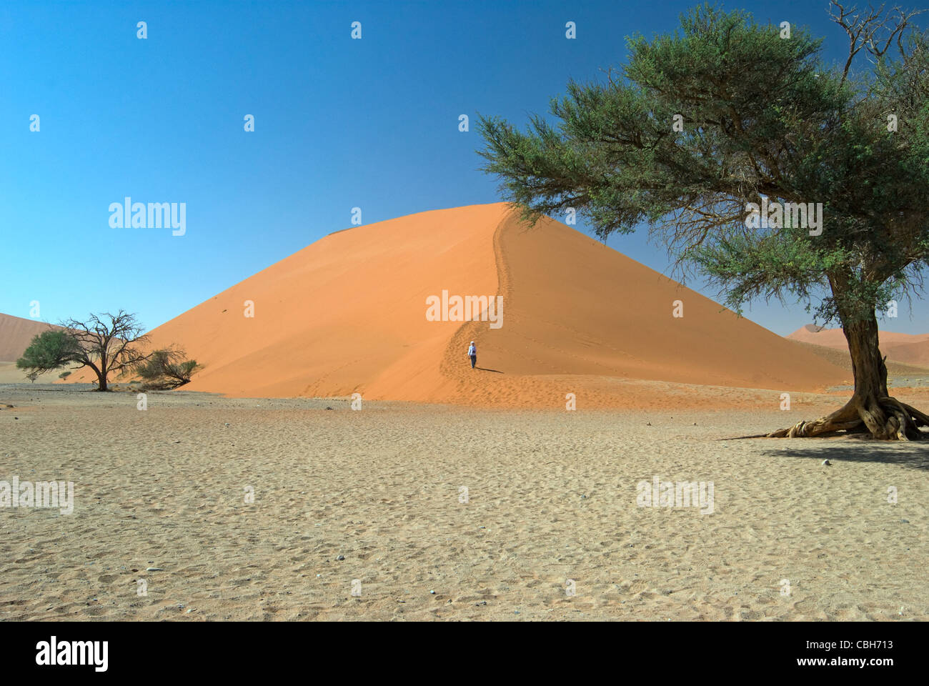 Signora Duna discendente 45 dune di Soussusvlei Foto Stock