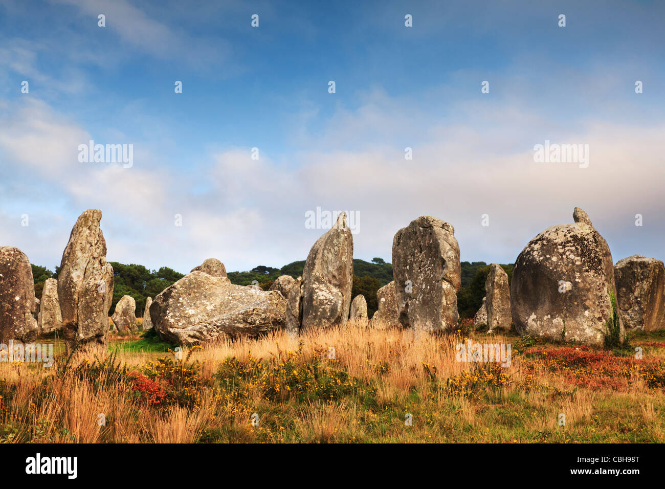 Alcune delle 3000 megaliti preistorici a Carnac, Brittany, Francia, sulla soleggiata una sera d'autunno. Foto Stock