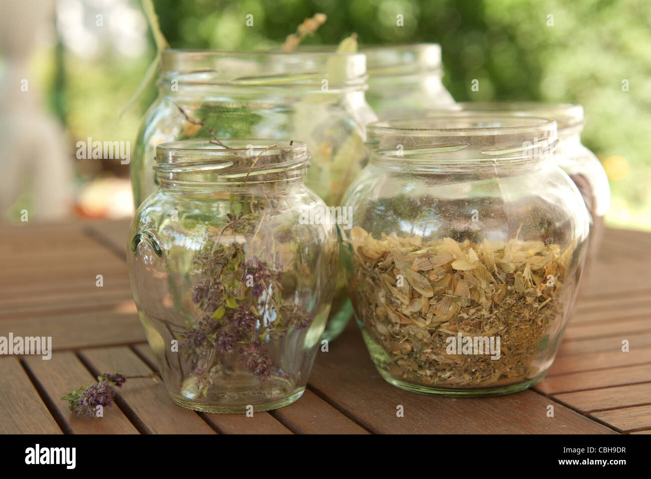 Le erbe essiccate in vasi sul tavolo Foto Stock