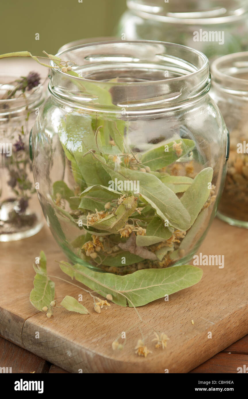 Calce secca erbe in vaso Foto Stock