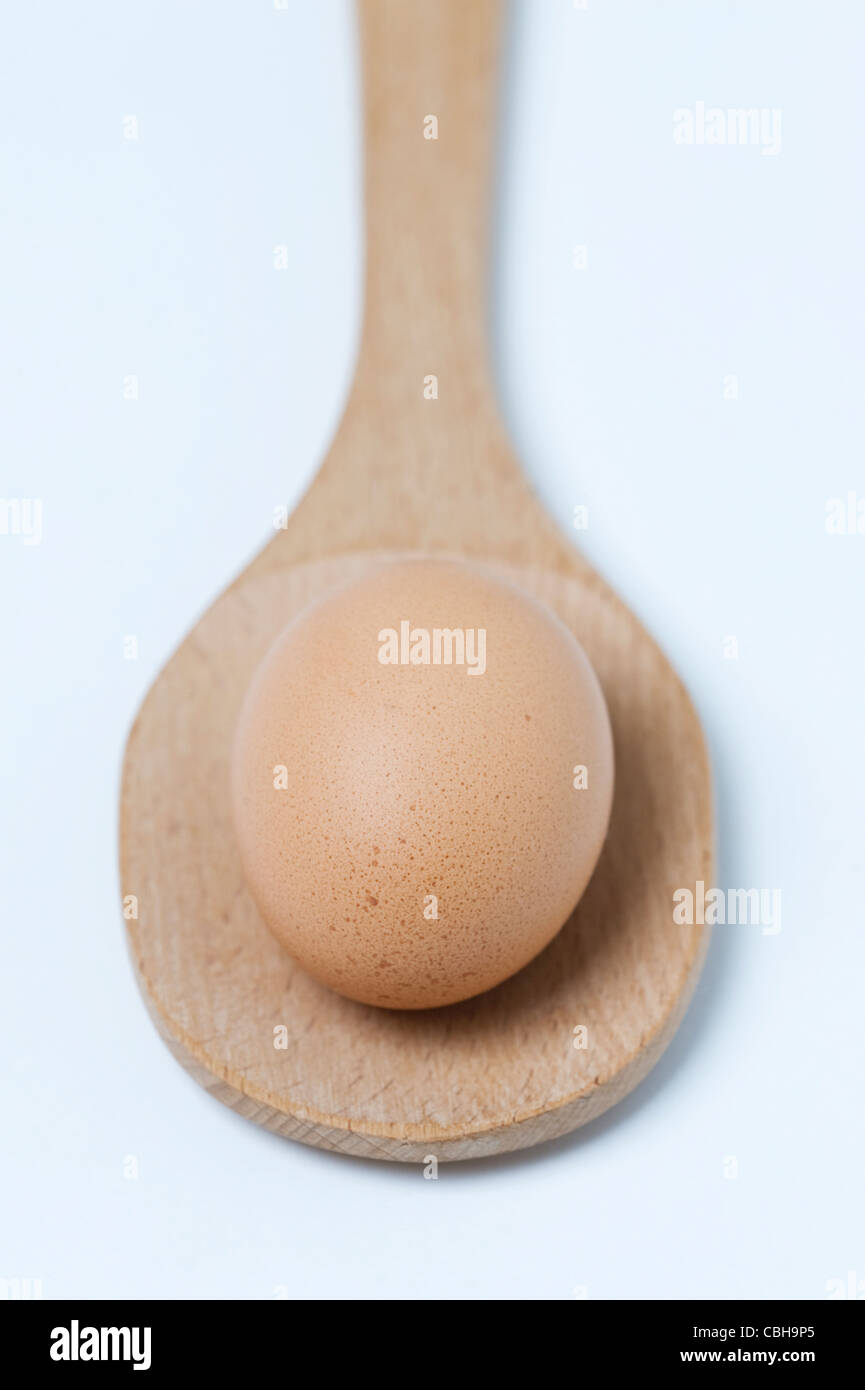 Un unico marrone uova di galline su un cucchiaio di legno contro uno sfondo bianco Foto Stock