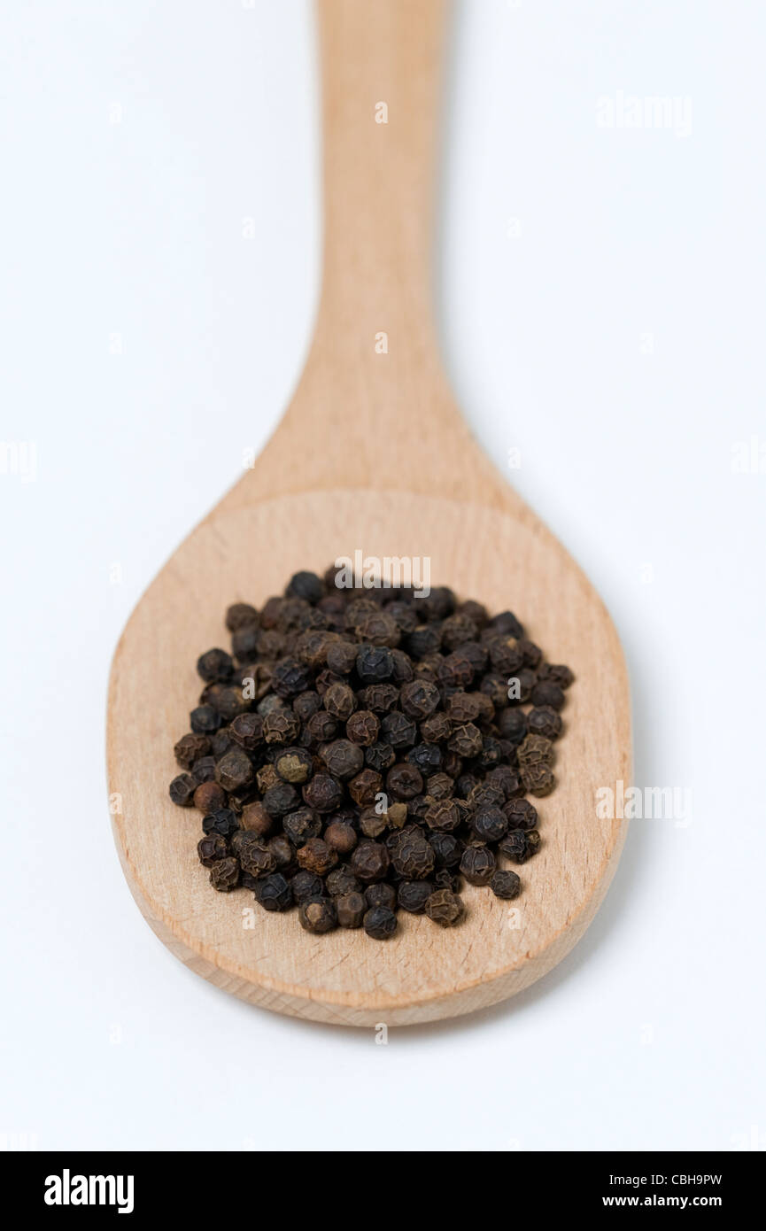 Pepe nero in grani su un cucchiaio di legno su sfondo bianco Foto Stock