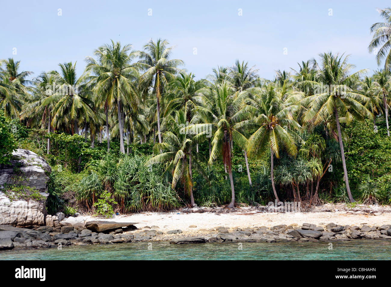 Le palme in un paradiso tropicale spiaggia sabbiosa con chiaro blu verde acqua di mare in ter Bay su Raya Island, Phuket, Tailandia Foto Stock
