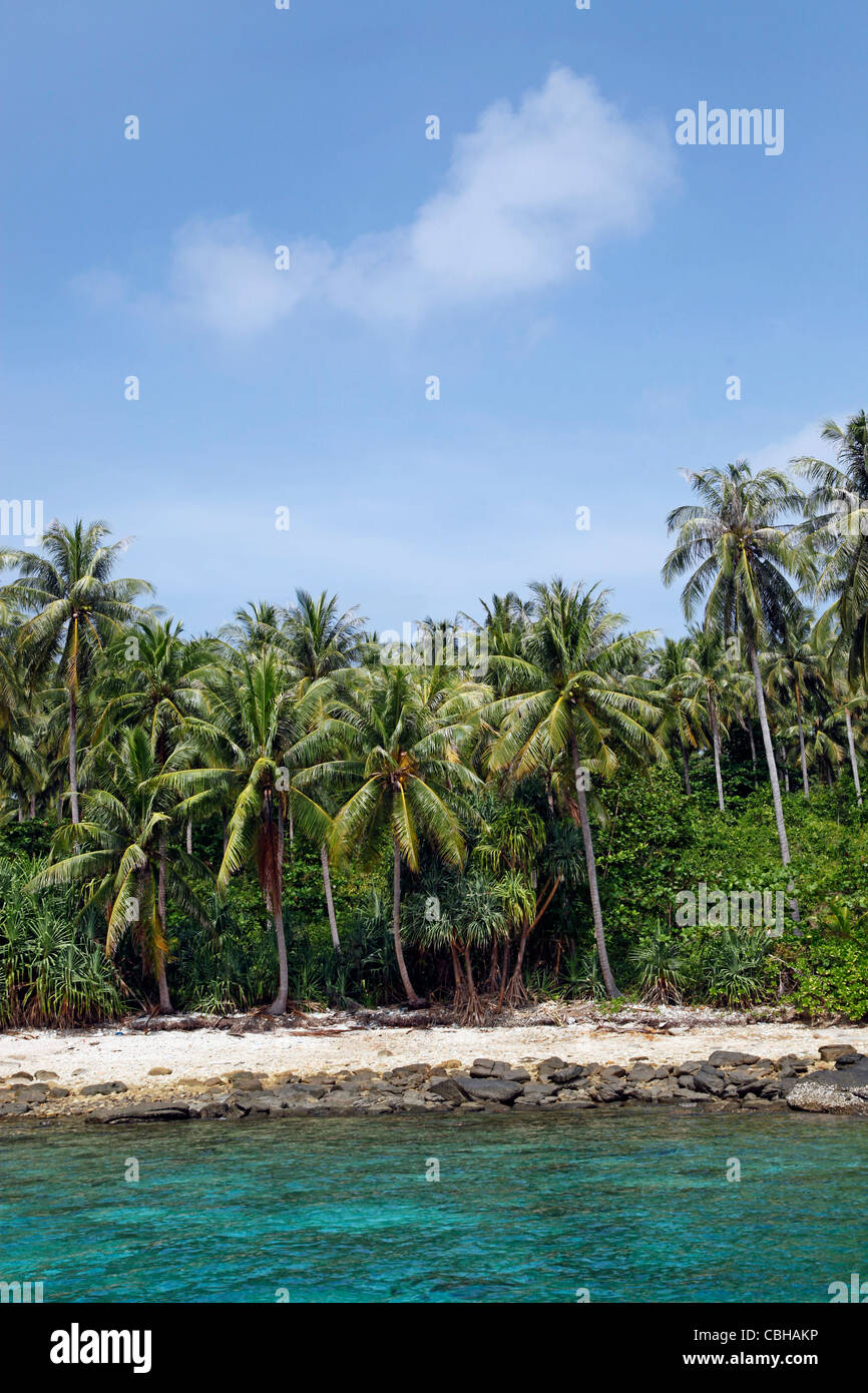 Le palme in un paradiso tropicale spiaggia sabbiosa con chiaro blu verde acqua di mare in ter Bay su Raya Island, Phuket, Tailandia Foto Stock