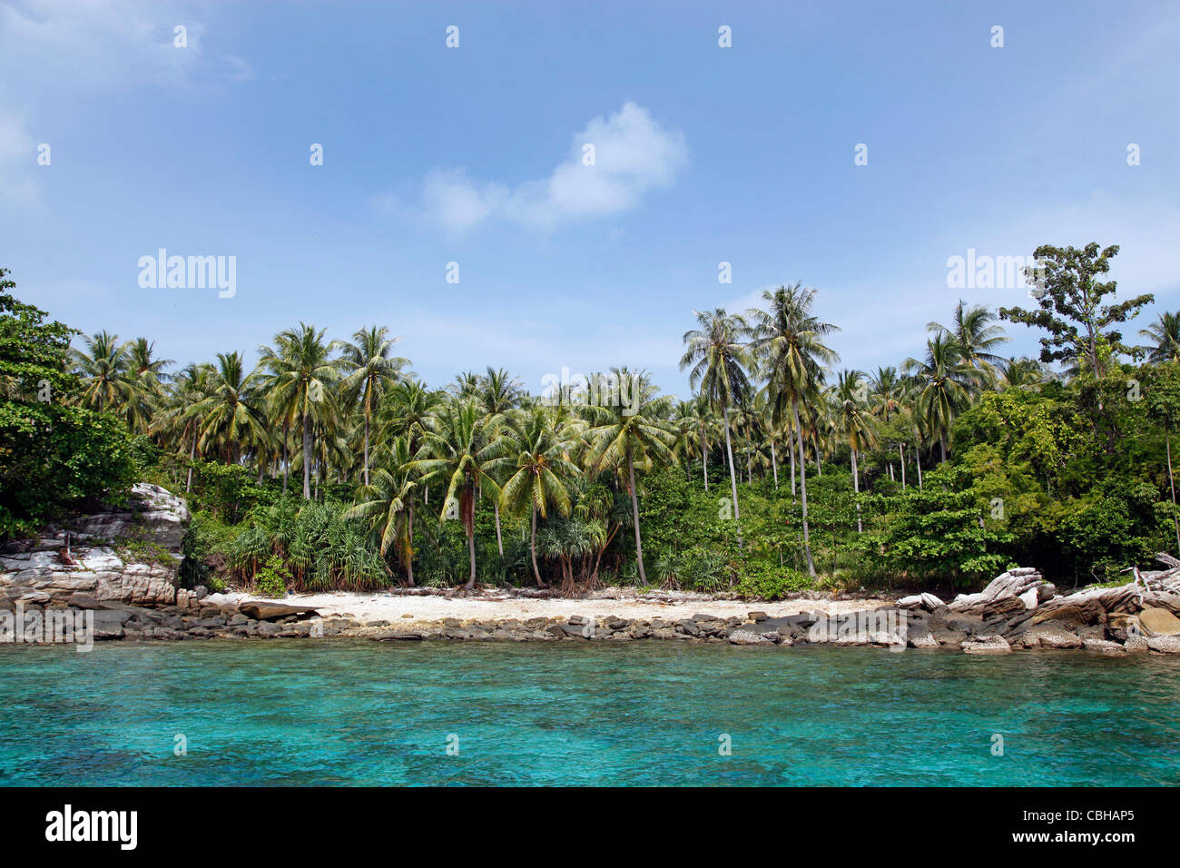 Le palme in un paradiso tropicale spiaggia sabbiosa con chiaro blu verde acqua di mare in ter Bay su Raya Island, Phuket, Tailandia Foto Stock