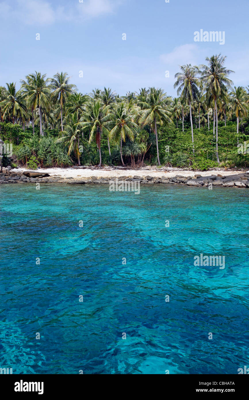 Le palme in un paradiso tropicale spiaggia sabbiosa con chiaro blu verde acqua di mare in ter Bay su Raya Island, Phuket, Tailandia Foto Stock