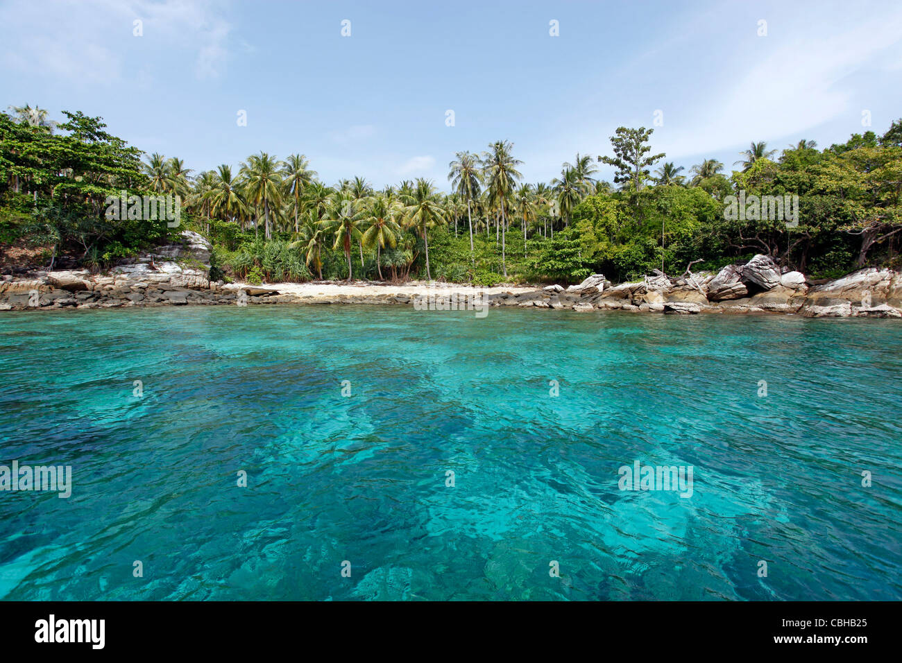 Le palme in un paradiso tropicale spiaggia sabbiosa con chiaro blu verde acqua di mare in ter Bay su Raya Island, Phuket, Tailandia Foto Stock