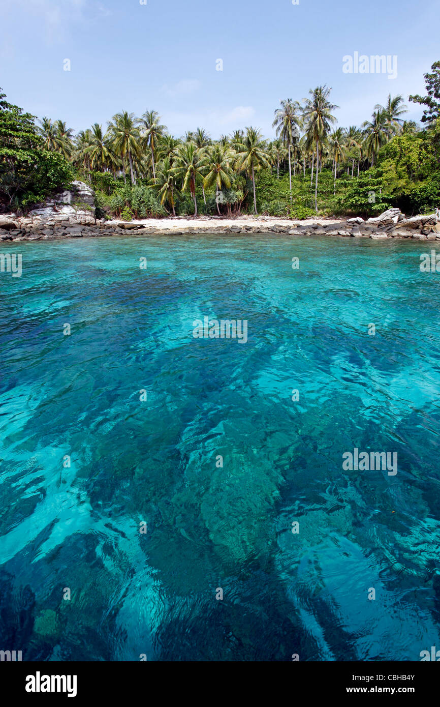 Le palme in un paradiso tropicale spiaggia sabbiosa con chiaro blu verde acqua di mare in ter Bay su Raya Island, Phuket, Tailandia Foto Stock