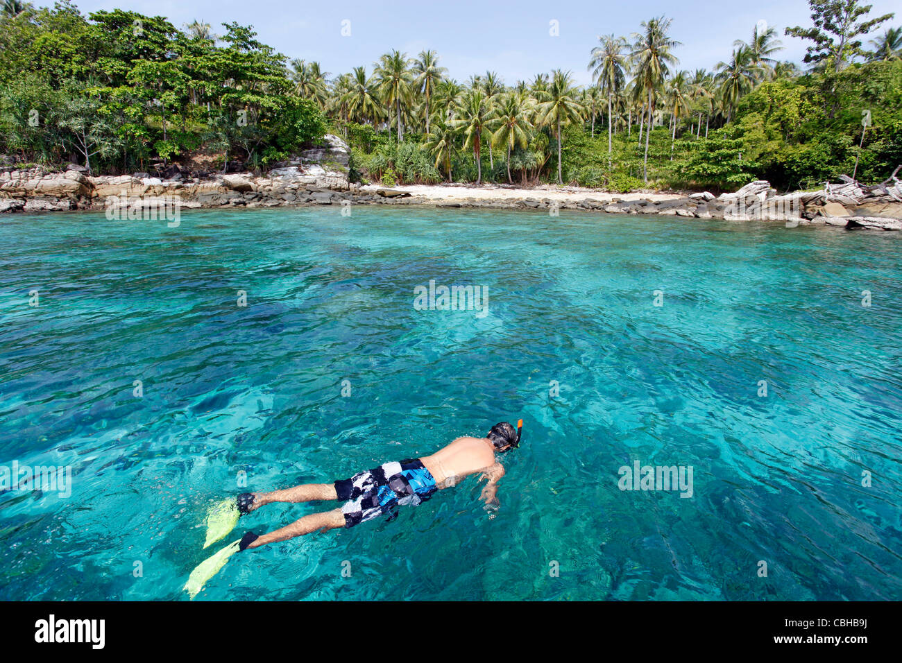 Le palme in un paradiso tropicale spiaggia sabbiosa con chiaro blu verde acqua di mare in ter Bay su Raya Island, Phuket, Tailandia Foto Stock