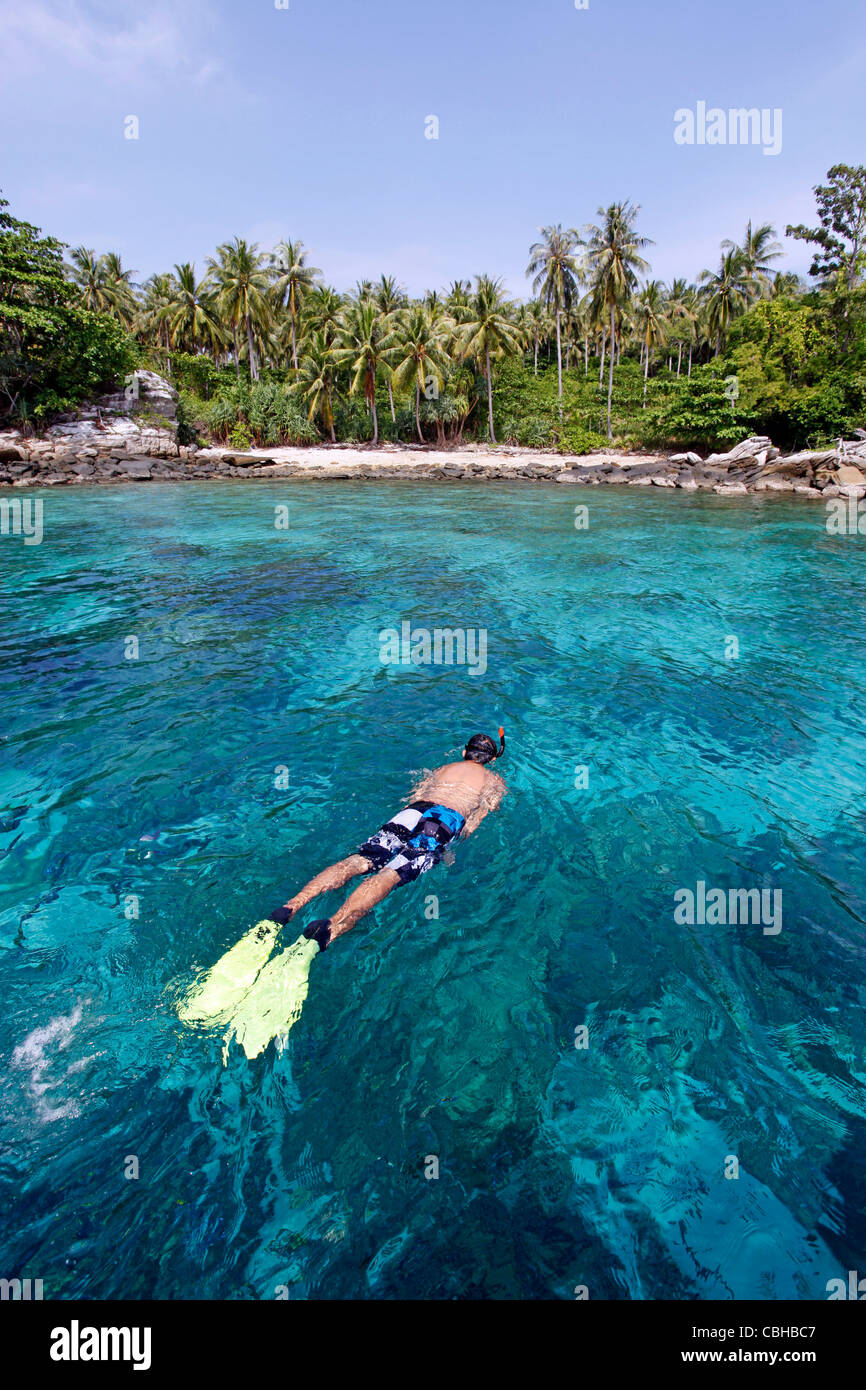Le palme in un paradiso tropicale spiaggia sabbiosa con chiaro blu verde acqua di mare in ter Bay su Raya Island, Phuket, Tailandia Foto Stock