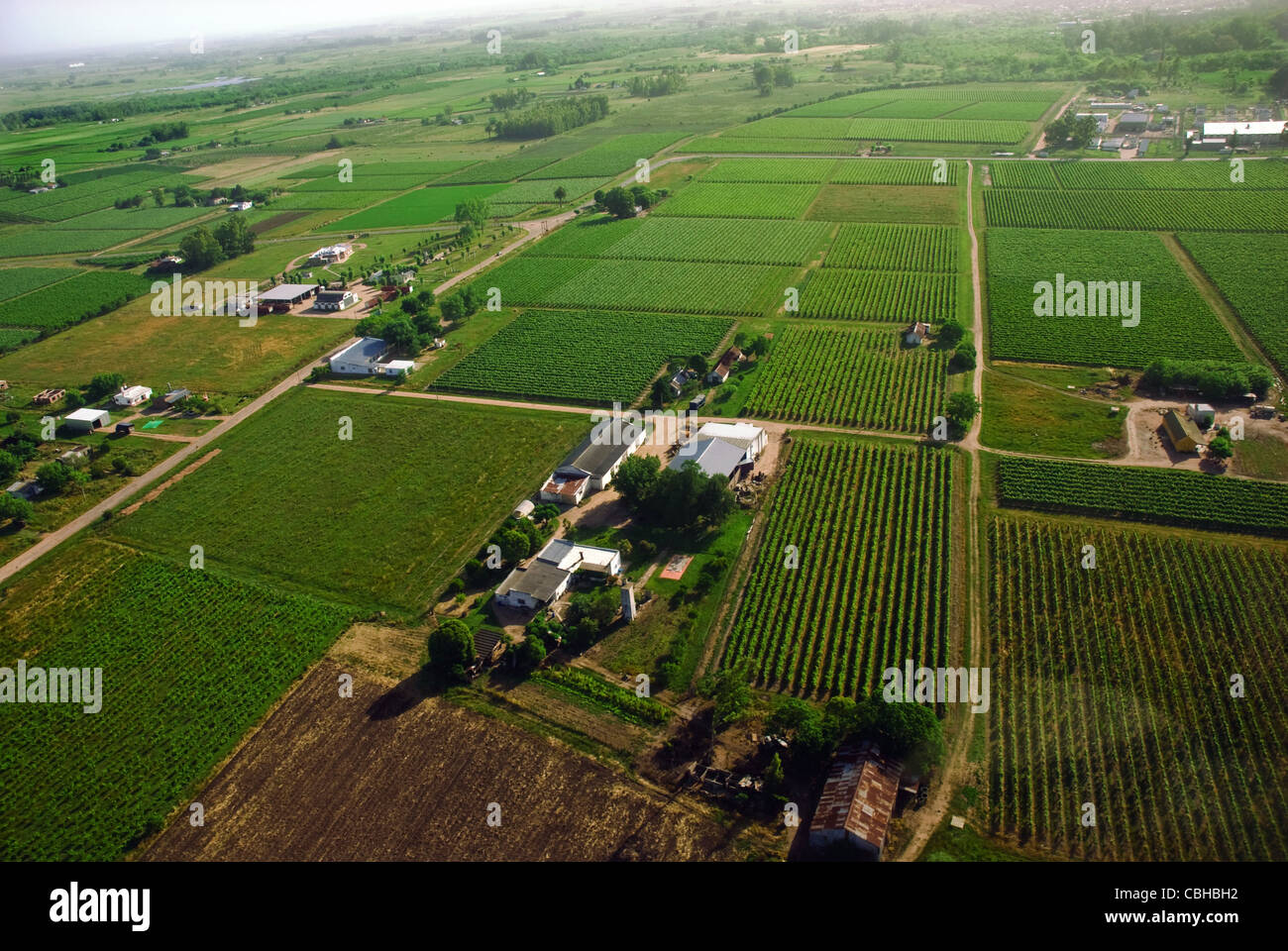 Vista aerea del paese verde campi in Uruguay. Foto Stock