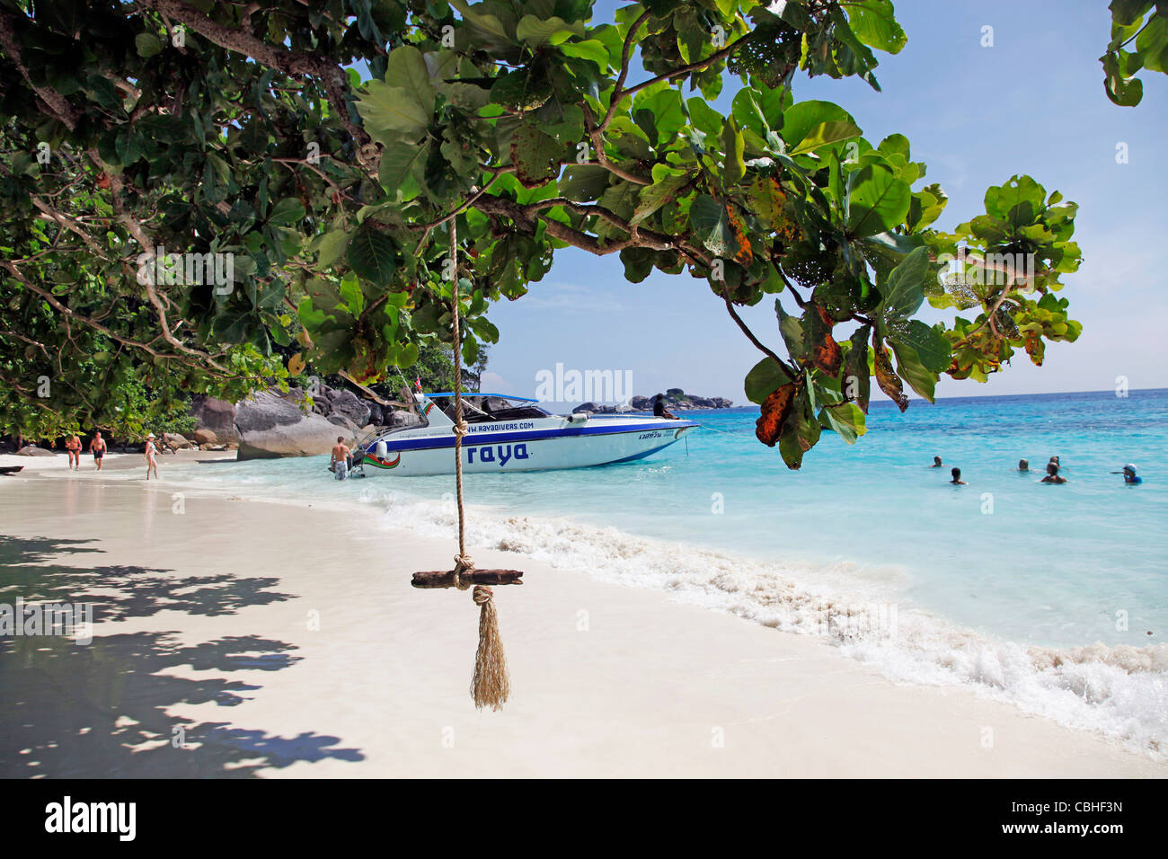 Spiaggia sabbiosa tropicale scena con alberi e rocce di Miang isola, isole Similan, Phang-Nga, vicino a Phuket, Tailandia Foto Stock