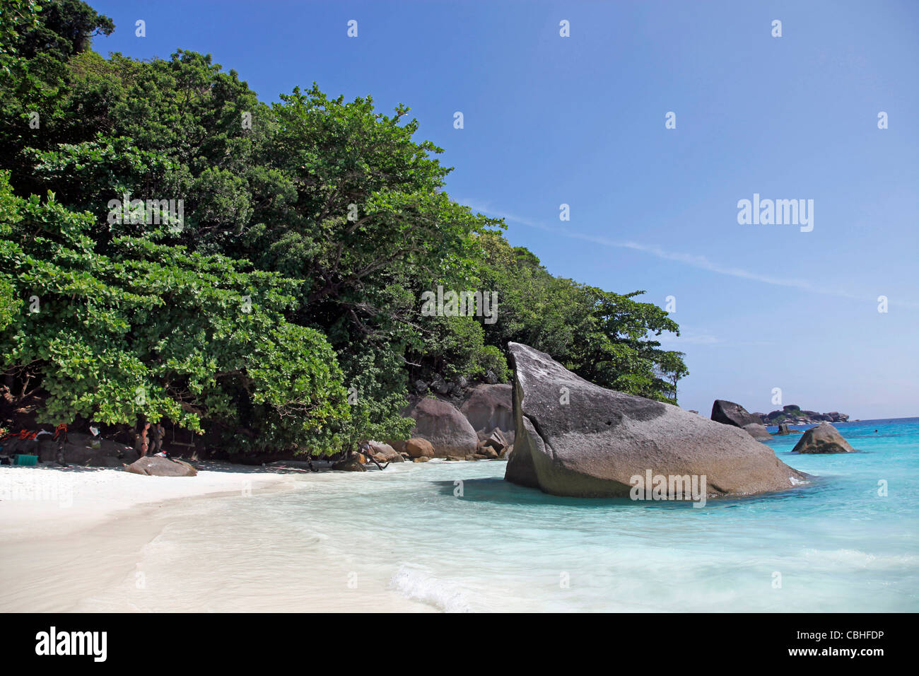 Spiaggia sabbiosa tropicale scena con alberi e rocce di Miang isola, isole Similan, Phang-Nga, vicino a Phuket, Tailandia Foto Stock