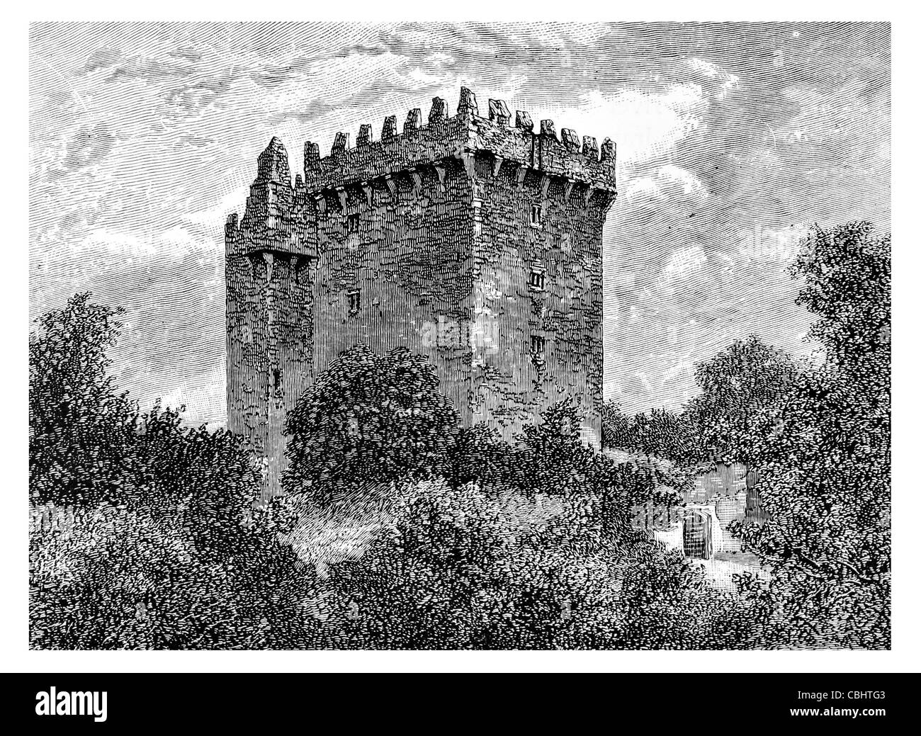 Blarney Castle roccaforte medievale Blarney Cork in Irlanda MacCarthy Muskerry Castle fort fortificazione bastion chateau roccaforte Foto Stock