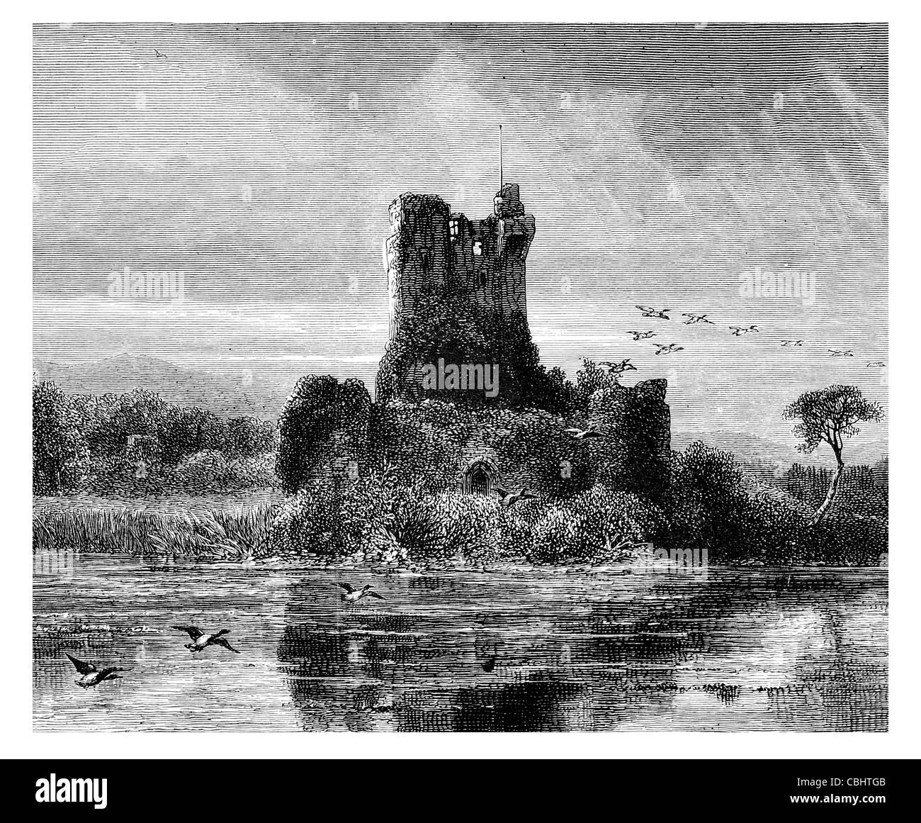 Castello di Ross Killarney O'Donoghue clan Contea di Kerry Irlanda roccaforte casa-torre irlandese Foto Stock
