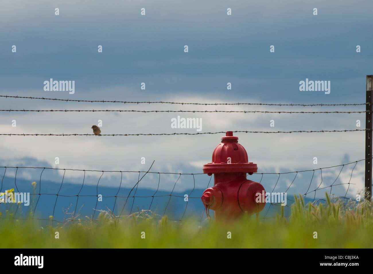 Rosso fuoco idrante sulla sfondo della coperta di neve vette delle montagne rocciose. Foto Stock