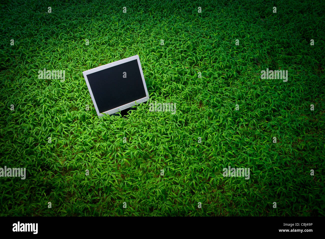 Sullo schermo del computer al di fuori nel campo erboso Foto Stock