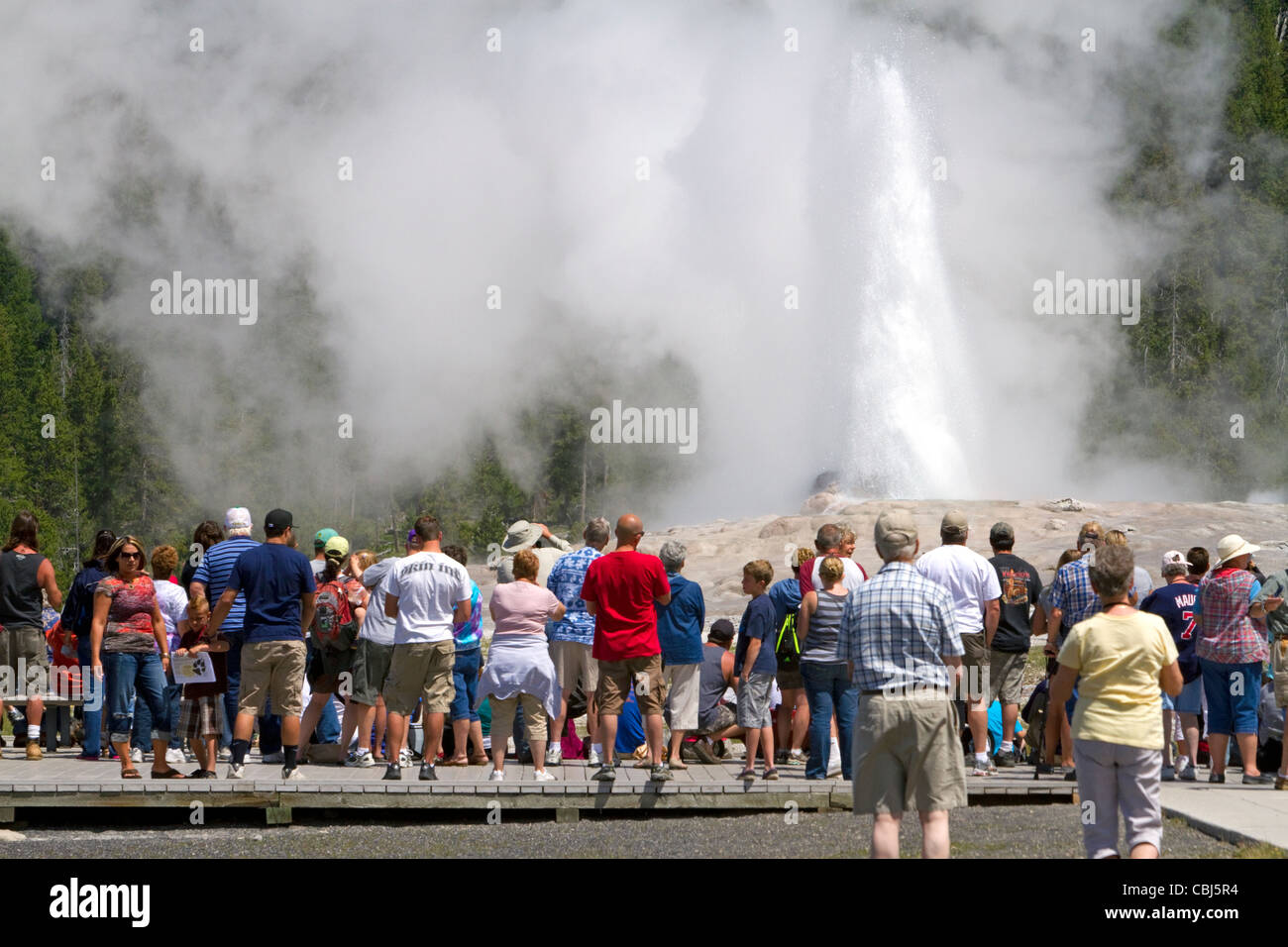I turisti si riuniscono per guardare il geyser Old Faithful eruzione nel Parco Nazionale di Yellowstone, STATI UNITI D'AMERICA. Foto Stock