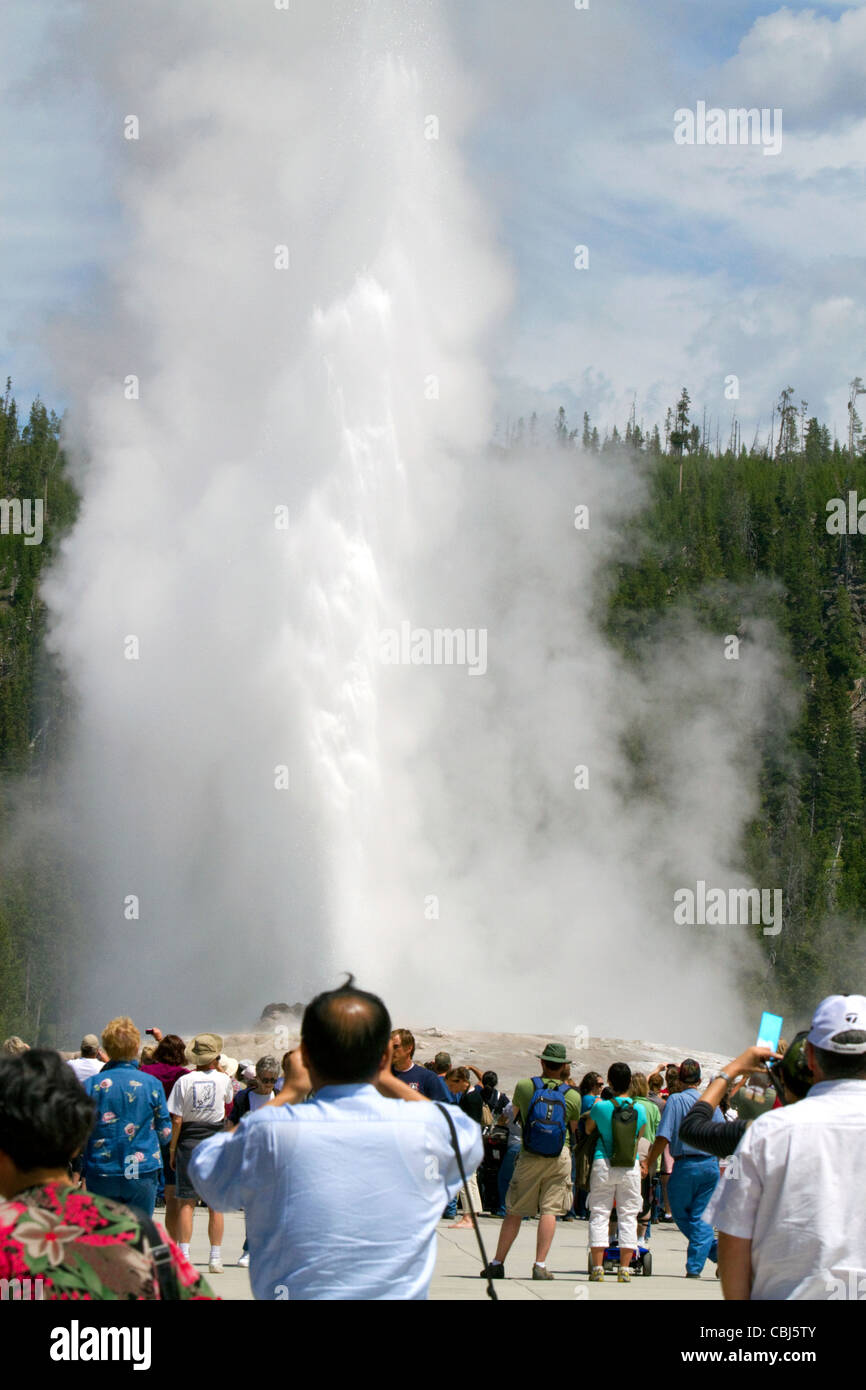 I turisti si riuniscono per guardare il geyser Old Faithful eruzione nel Parco Nazionale di Yellowstone, STATI UNITI D'AMERICA. Foto Stock