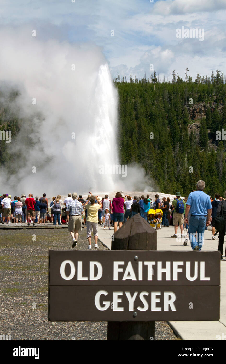 I turisti si riuniscono per guardare il geyser Old Faithful eruzione nel Parco Nazionale di Yellowstone, STATI UNITI D'AMERICA. Foto Stock