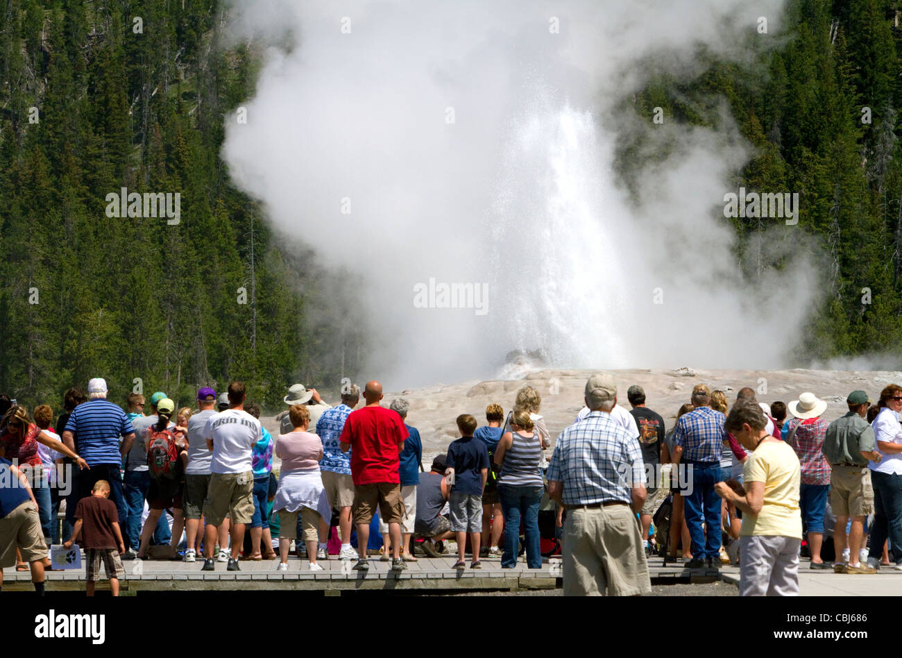 I turisti si riuniscono per guardare il geyser Old Faithful eruzione nel Parco Nazionale di Yellowstone, STATI UNITI D'AMERICA. Foto Stock