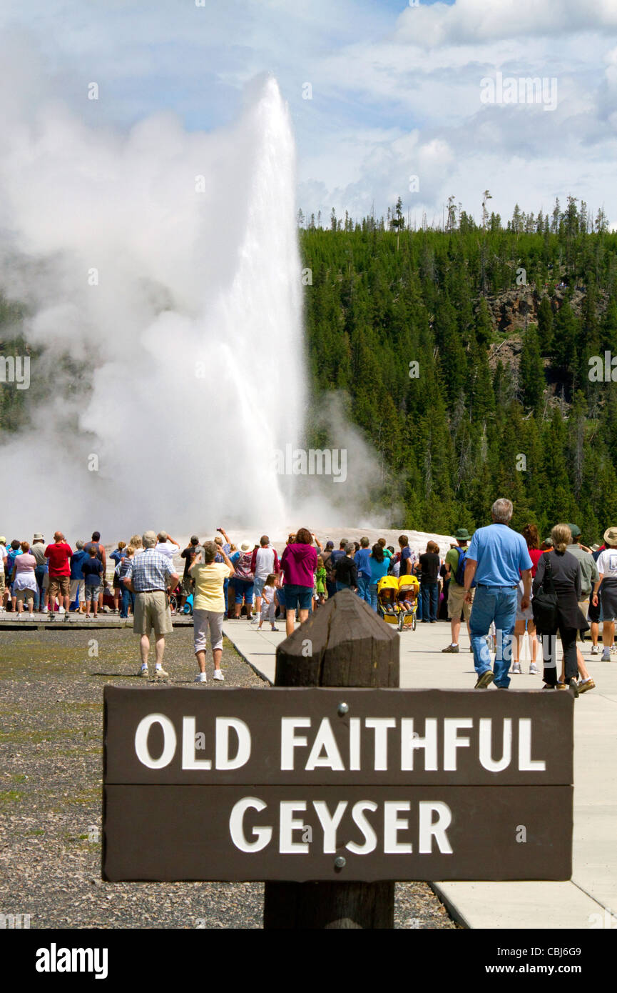 I turisti si riuniscono per guardare il geyser Old Faithful eruzione nel Parco Nazionale di Yellowstone, STATI UNITI D'AMERICA. Foto Stock