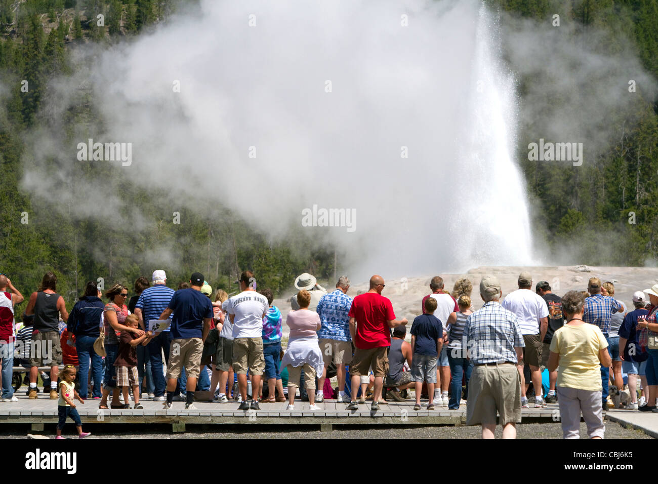 I turisti si riuniscono per guardare il geyser Old Faithful eruzione nel Parco Nazionale di Yellowstone, STATI UNITI D'AMERICA. Foto Stock