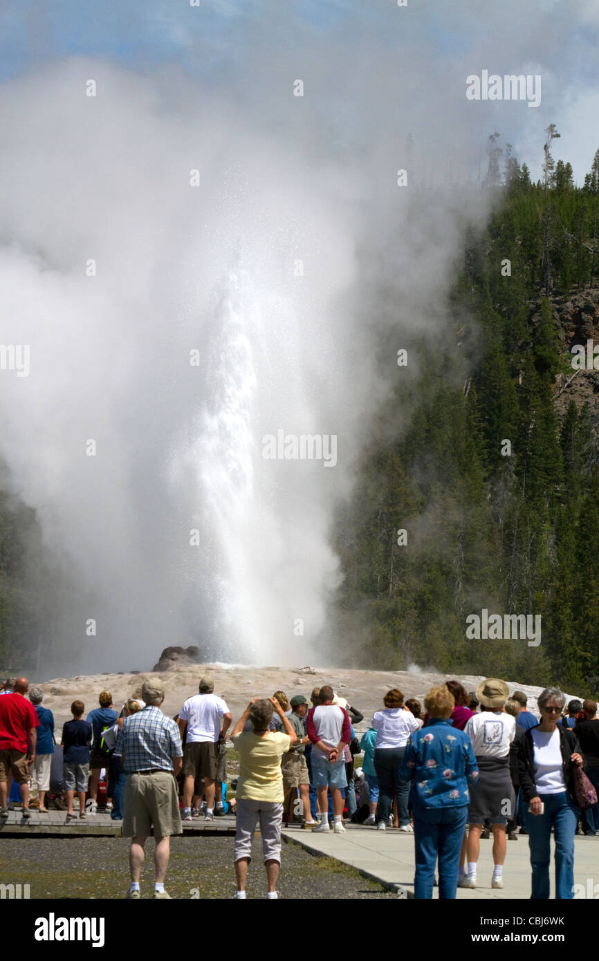 I turisti si riuniscono per guardare il geyser Old Faithful eruzione nel Parco Nazionale di Yellowstone, STATI UNITI D'AMERICA. Foto Stock