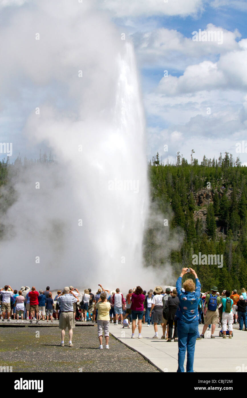 I turisti si riuniscono per guardare il geyser Old Faithful eruzione nel Parco Nazionale di Yellowstone, STATI UNITI D'AMERICA. Foto Stock