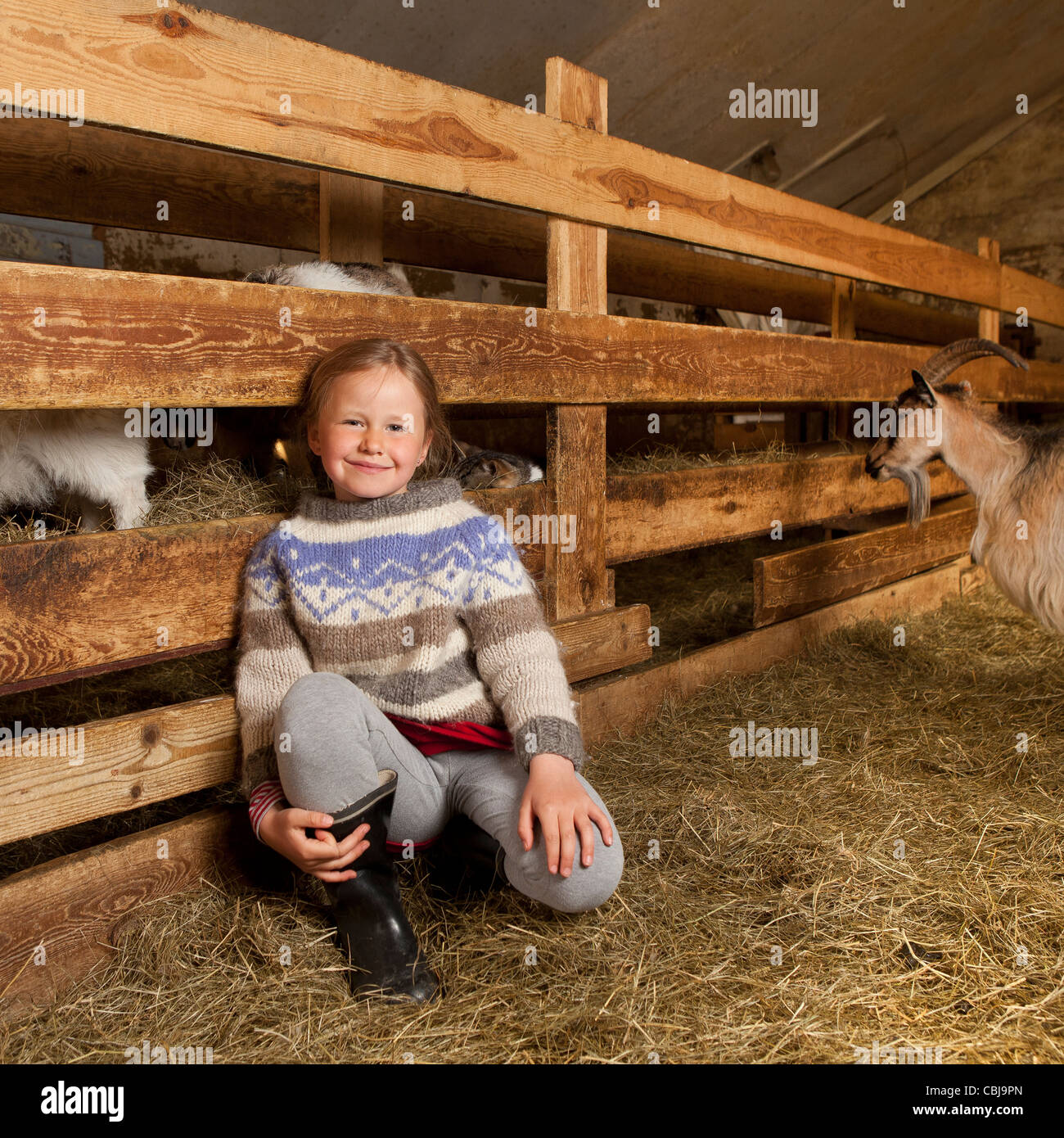 Ragazza all'interno di un fienile con capre, allevamento di capre, Islanda Foto Stock