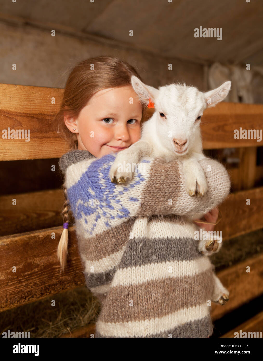 Ragazza holidng capretto, allevamento di capre Islanda Foto Stock