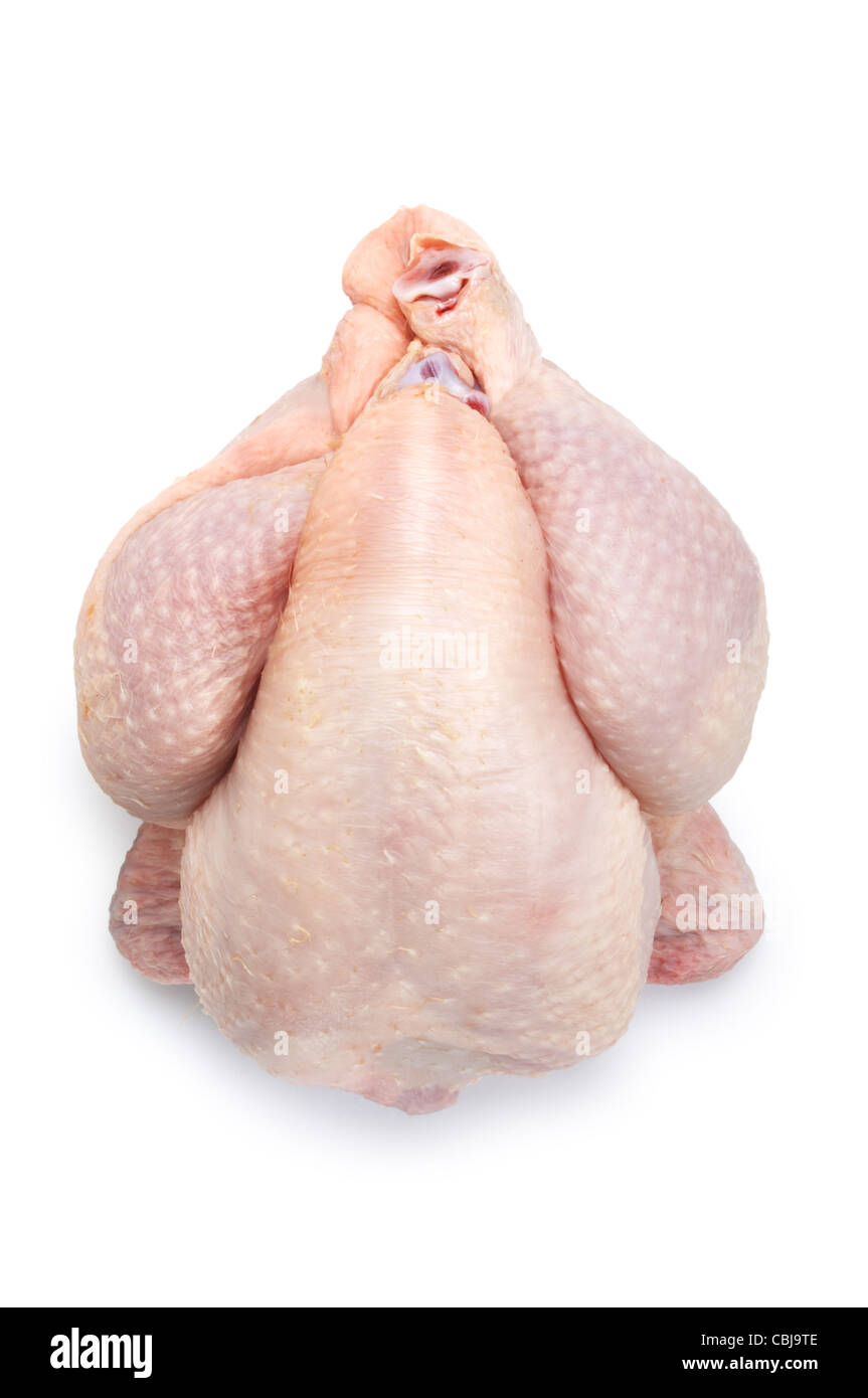 Piccoli di pollo o di Poussin - Giovanni Gollop Foto Stock