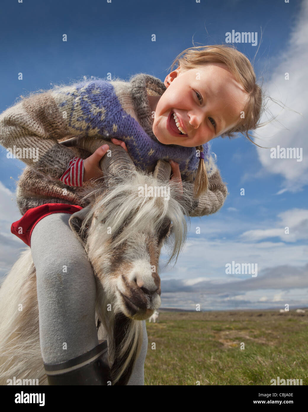 La ragazza con la capra, allevamento di capre, Islanda Foto Stock