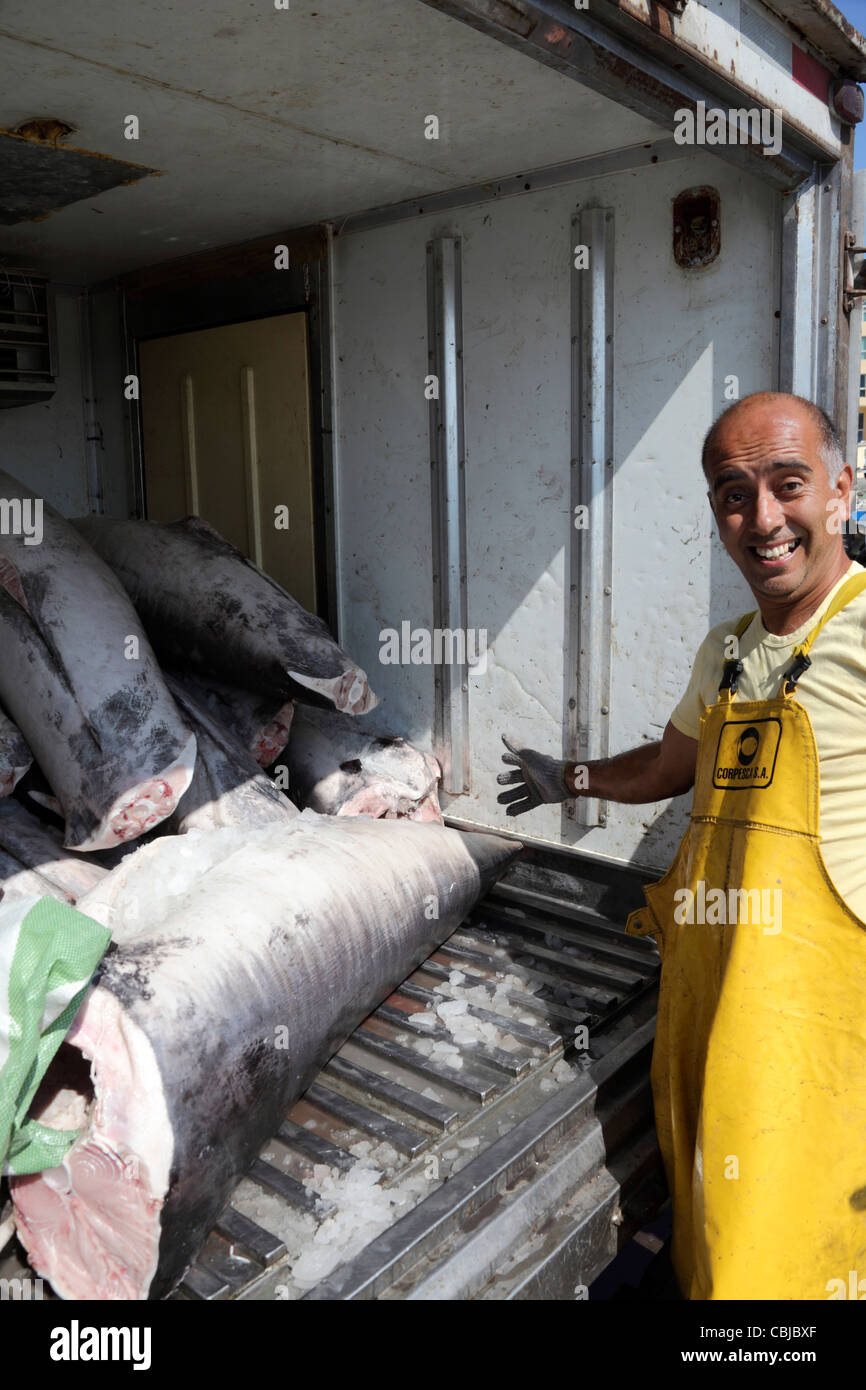 L'uomo finisce mettendo sul ghiaccio ( Pesce spada Xiphias gladius ) nel retro della società di consegna carrello , Iquique , Regione ho , Cile Foto Stock
